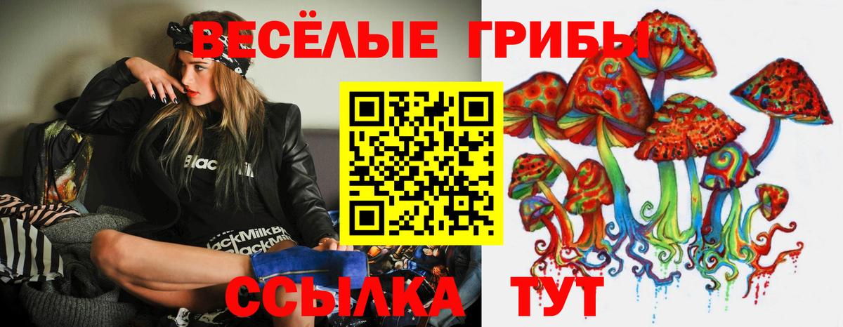 Галлюциногенные грибы мухоморы Десногорск