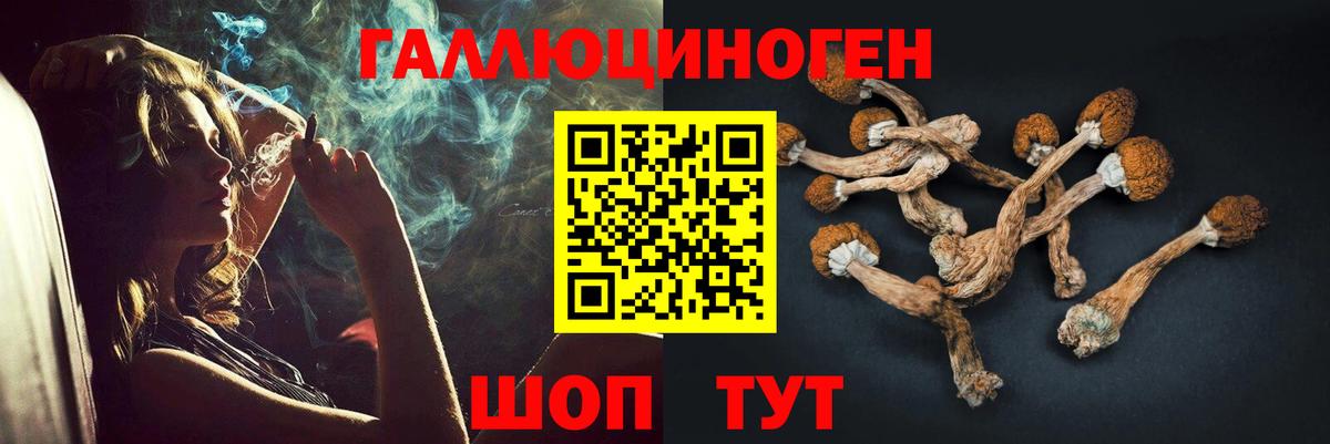 Десногорск  Галлюциногенные грибы ЛСД  Вход с VPN 